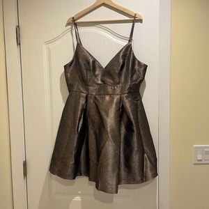 COPY - ✨ New! Gorgeous bronze mink dress 1X